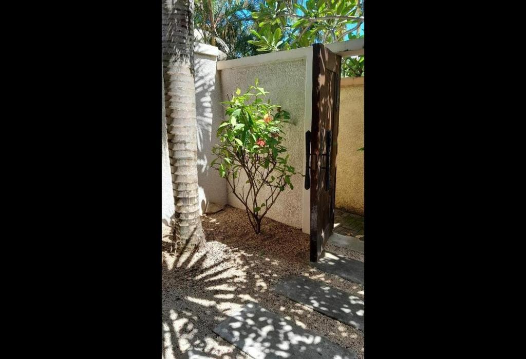 Oasis 1 Villa Tropicale Grand Baie Exterior photo