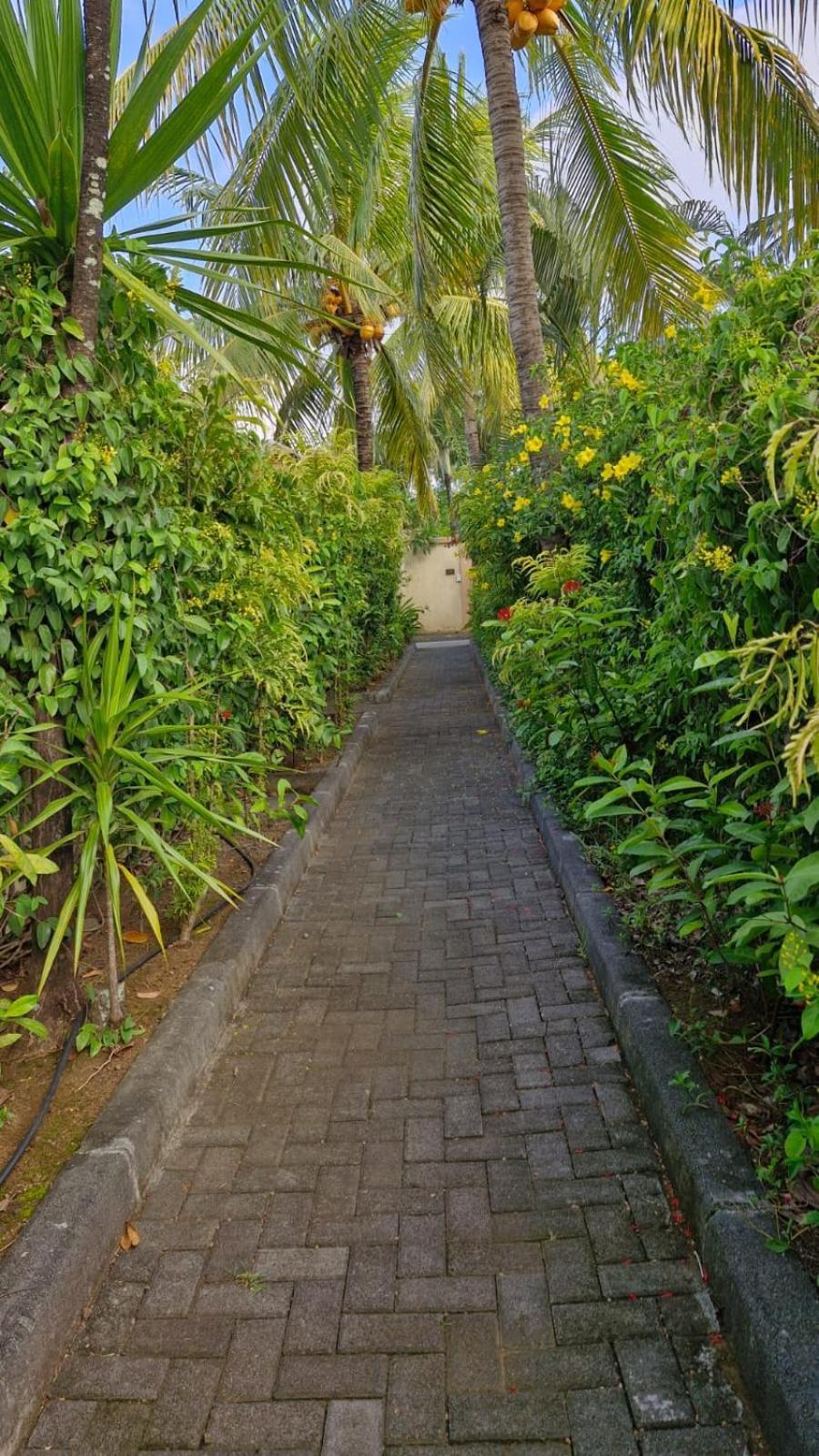 Oasis 1 Villa Tropicale Grand Baie Exterior photo